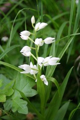 Killikus&reg; Fotographie